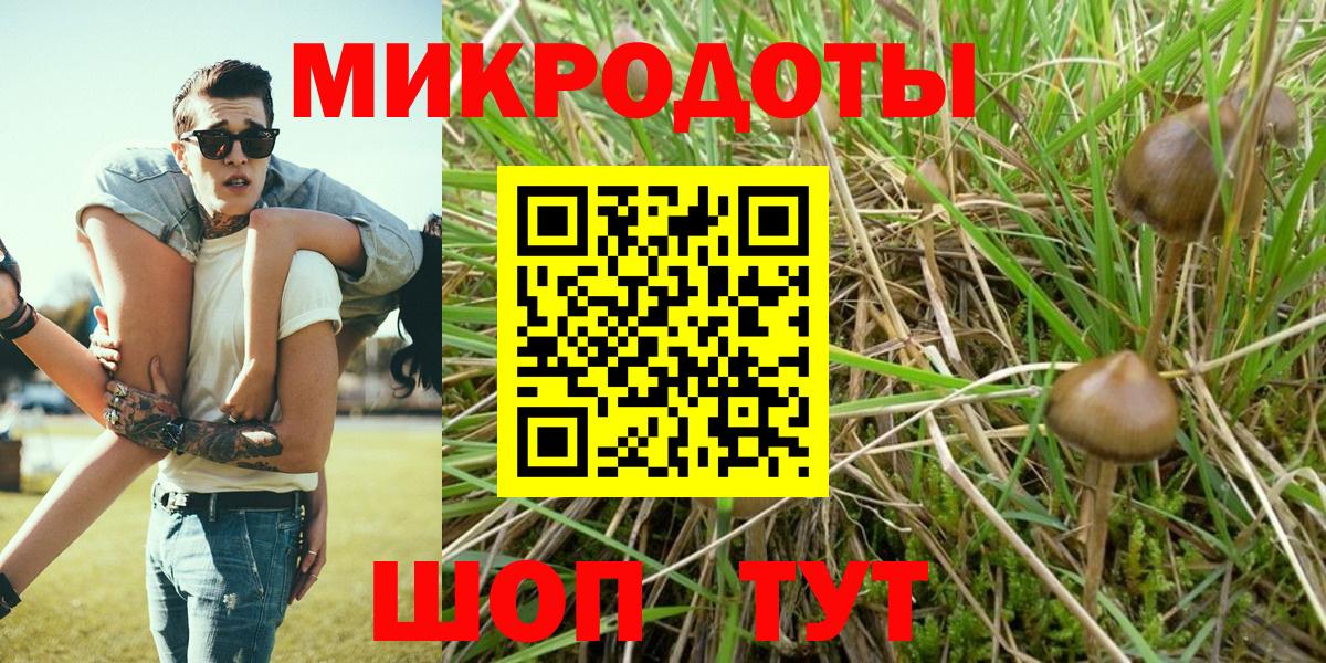 Галлюциногенные грибы Psilocybine cubensis  Вход с VPN  Казань 